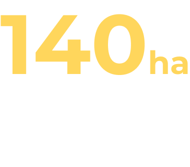 140